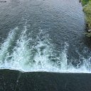 ���� �������, �������, 38 ��� - ��������� 11 ��� 2010 � ������ ���� ����� ����� �������