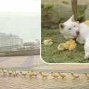 ���� Lana, ������ - ��������� 28 ��� 2011 � ������ �������