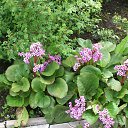 ���� Andrey, �����-���������, 49 ��� - ��������� 21 ������� 2012