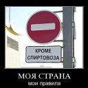  Serg, , 58  -  3  2010    