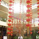 China Chimelong park. �� ������� ���� ����������