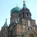 ��������� ����� �� ������� ������� ������ 2009�