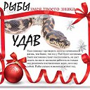 ���� ����, ������� - ��������� 4 ���� 2013 � ������ �2013 ��� - ��� ����