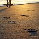 ���� ����, ���������, 28 ��� - ��������� 25 �������� 2012 � ������ ������ ��������