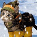 ���� ������ �����, ������, 24 ���� - ��������� 9 ���� 2011 � ������ ������