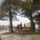 ���� �������, �����-���������, 54 ���� - ��������� 12 ��� 2013 � ������ �9 ��� 2013 ����