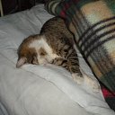  , , 36  -  30  2010       !!!=)