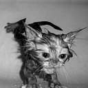 ���� ����� - ���������� ��������!!!, �����������, 56 ��� - ��������� 13 ������� 2009 � ������ ��������� (�����)�