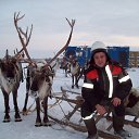 ���� ������, ����, 62 ���� - ��������� 4 ������� 2013 � ������ ���� ����������