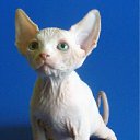 ���� ������, ���������, 24 ���� - ��������� 3 ������� 2012 � ������ ���� ����������