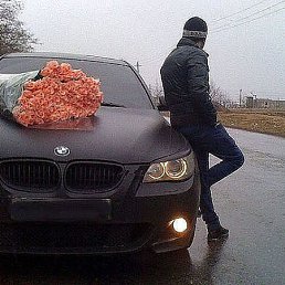 ���� �������, �����������, 38 ��� - ��������� 8 ��� 2012