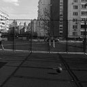 ���� ���������, ���������, 36 ��� - ��������� 4 ������� 2012 � ������ ���� ����������