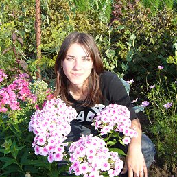 ���� ���, �����������, 34 ���� - ��������� 29 �������� 2012