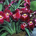 ���� ����. ��������� �� ��!, ������, 72 ���� - ��������� 13 ������ 2011 � ������ ��������