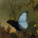 ���� ������, ������, 68 ��� - ��������� 15 ������ 2012 � ������ �������Ȼ