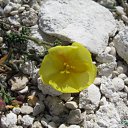 ���� Ksusha-fm, ��������, 54 ���� - ��������� 15 ������ 2010 � ������ ����������� ��������� ����