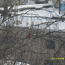 ���� �������, ������, 48 ��� - ��������� 29 ��� 2013 � ������ ���� ����������