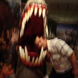 ���� �����, ������ ��������, 97 ��� - ��������� 25 ���� 2010