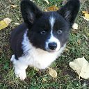 ���� ����! ���, ������������, 52 ���� - ��������� 23 ������� 2011 � ������ ��������