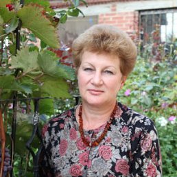 �����, �������, 67 ���