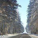 ���� ����, ������������, 49 ��� - ��������� 22 ���� 2013 � ������ ���� ����������