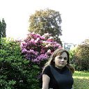 ���� ����, ������, 44 ���� - ��������� 4 �������� 2012 � ������ ���������� ������