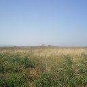  Andrei, , 46  -  28  2010    - 2009.