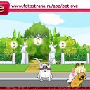 ���� ����, �����-���������, 23 ���� - ��������� 2 ������ 2011