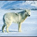 ���� �������, ������, 47 ��� - ��������� 19 �������� 2012 � ������ ��������, ������ �����!!!�