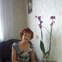 ���� ����, �����, 67 ��� - ��������� 20 ���� 2013 � ������ ���� ����������