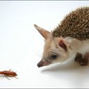 ���� ����. ��������� �� ��!, ������, 72 ���� - ��������� 30 ���� 2011 � ������ ������