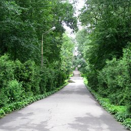 ���� ������, �����, 52 ���� - ��������� 27 ���� 2012