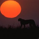 ���� Mcsflash, �������, 38 ��� - ��������� 22 ������� 2010 � ������ �������