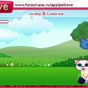 ���� ������, ��������, 46 ��� - ��������� 23 ������� 2010 � ������ �PetLove�