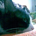 ���� Koldiv, ��������� - ��������� 29 ������� 2009 � ������ �������