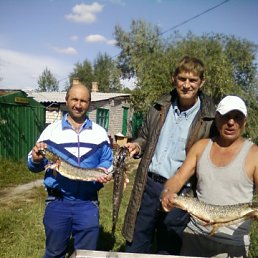 ���� Andrei, ������, 55 ��� - ��������� 25 ������ 2012