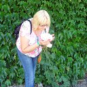 ���� �������, �����, 52 ���� - ��������� 28 ���� 2013 � ������ ��������� 2012�