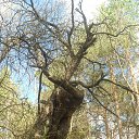 ���� ����, ���������, 63 ���� - ��������� 23 ������� 2012 � ������ ���� ����������