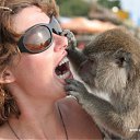 ���� ����� - ���������� ��������!!!, �����������, 56 ��� - ��������� 13 ������� 2009 � ������ ��������� (�����)�