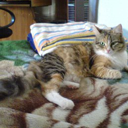 ���� ������, ����, 47 ��� - ��������� 21 ���� 2010