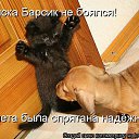 ���� �����, ������ - ��������� 26 ������ 2012 � ������ �����������