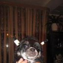 ���� �����, ������, 59 ��� - ��������� 30 ���� 2011 � ������ �PetLove�