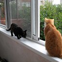 ����� � �� �� ������� ���� ����������