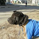 ���� �����, ������, 60 ��� - ��������� 6 ����� 2013 � ������ ���� ����������