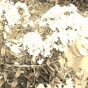 ���� �������, ������, 50 ��� - ��������� 14 �������� 2012 � ������ ���� ����������