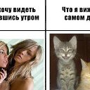 ���� ������, �����������, 64 ���� - ��������� 4 ��� 2013 � ������ ���� ����������