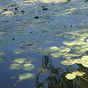 ���� �������, ������, 64 ���� - ��������� 24 ���� 2012 � ������ ������ ������