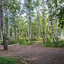 ���� ����, �������������, 43 ���� - ��������� 26 ������ 2012