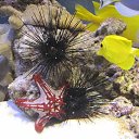 ���� �������, �������������� - ��������� 3 ��� 2013 � ������ �������