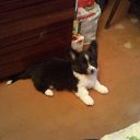 ���� ����! ���, ������������, 52 ���� - ��������� 23 ������� 2011 � ������ ��������